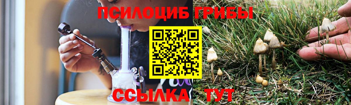 Псилоцибиновые грибы GOLDEN TEACHER Екатеринбург