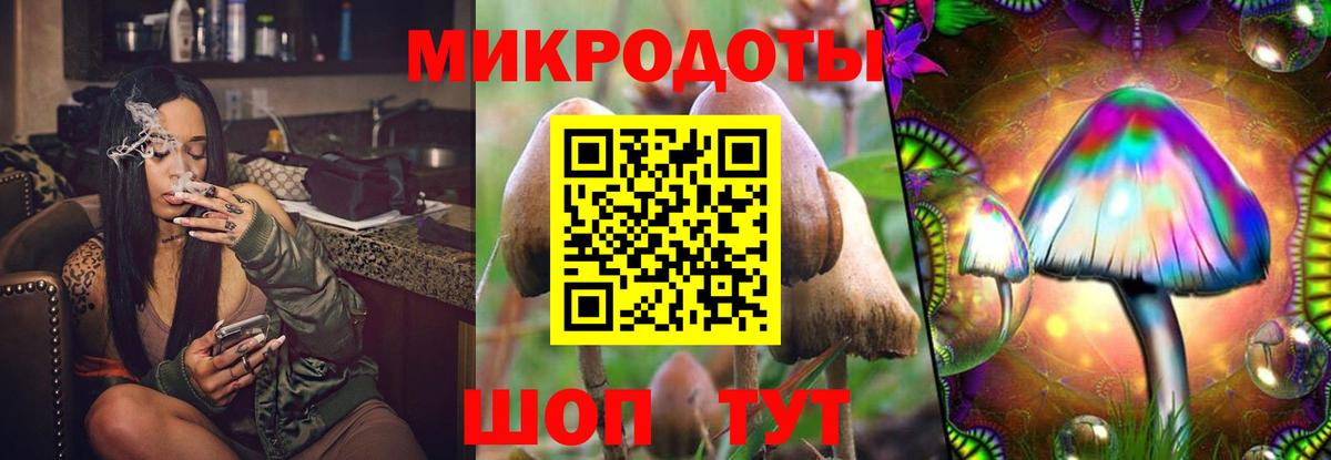 Екатеринбург  Псилоцибиновые грибы мухоморы  Вход с VPN  Галлюциногенные грибы Psilocybe 